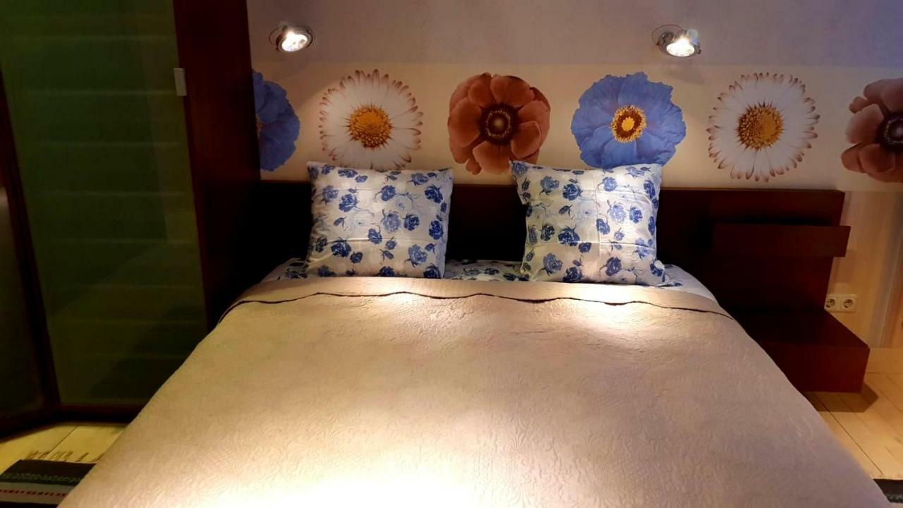 Fuksija House Apartment Daugavpils Luaran gambar
